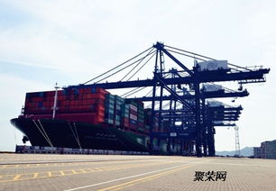 供应天津发往广州的海运集装箱货代公司