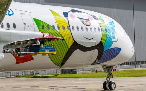 熊猫彩绘 川航首架自购A350亮相图卢兹 货运代理