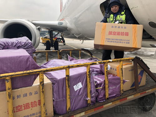 天津机场货运多措并举提升冬季机坪运行保障效率